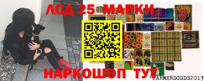 гашик Гай