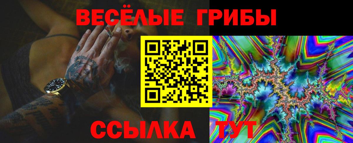 Псилоцибиновые грибы Psilocybe Новокузнецк