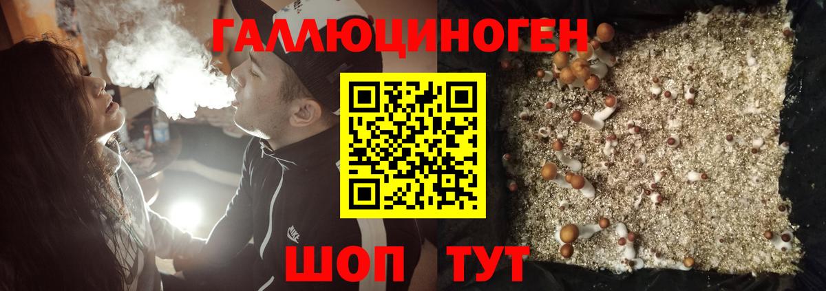 Псилоцибиновые грибы ЛСД  Галлюциногенные грибы прущие грибы  Новокузнецк  Вход с VPN 
