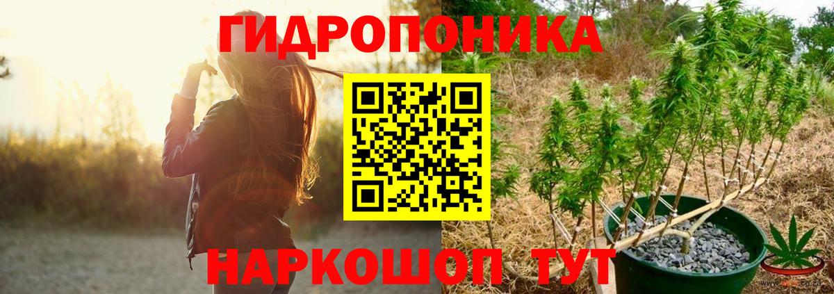 МАРИХУАНА план Новокузнецк